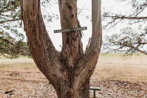 Margaret River Holiday Cottages - Sydney Tourism 20