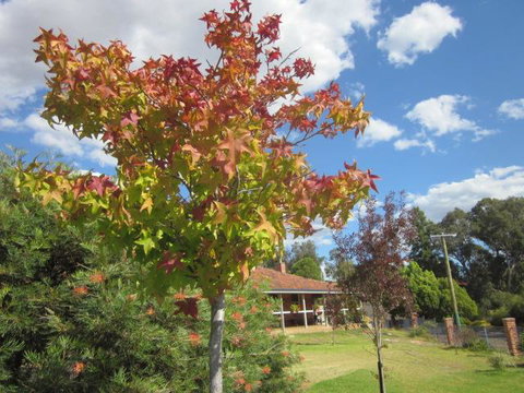 Bridgetown Valley Lodge - Sydney Tourism 40