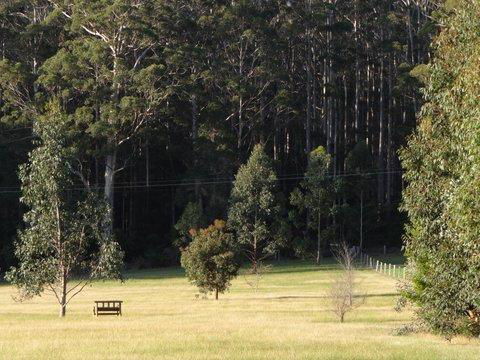 Big Brook Retreat - Sydney Tourism 5