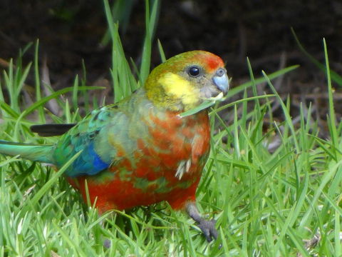 Big Brook Retreat - Sydney Tourism 13