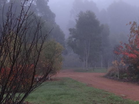 Big Brook Retreat - Sydney Tourism 14