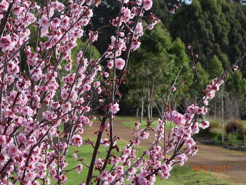 Big Brook Retreat - Sydney Tourism 9