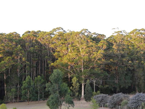 Big Brook Retreat - Sydney Tourism 11