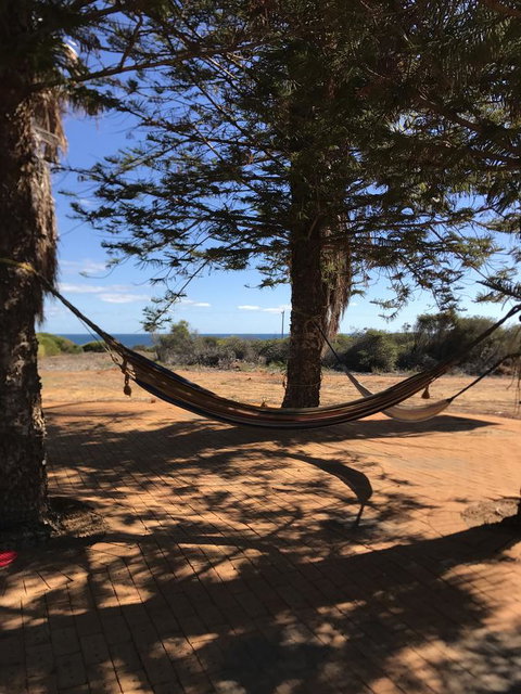 Surf Views - Sydney Tourism 1