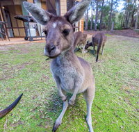 Yelverton Brook Eco Spa Retreat  Conservation Sanctuary - Sydney Tourism