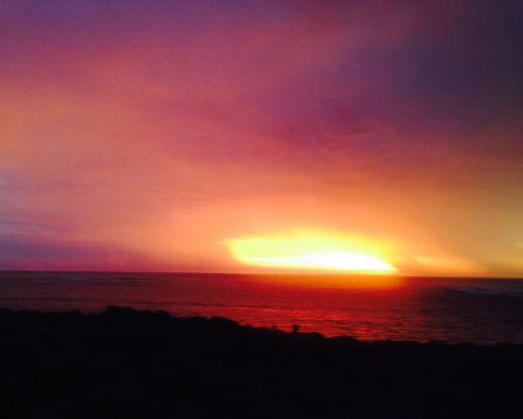 Studio Tramonto - Sydney Tourism 10