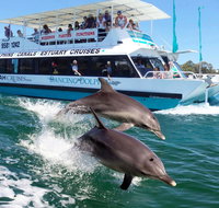 Belvedere Caravan Park - Sydney Tourism