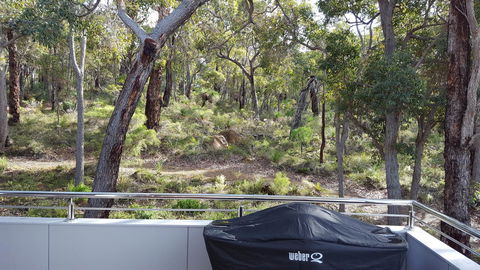 Cape Villas - Sydney Tourism 5