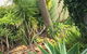 Armadale Cottage Bed & Breakfast - thumb 1
