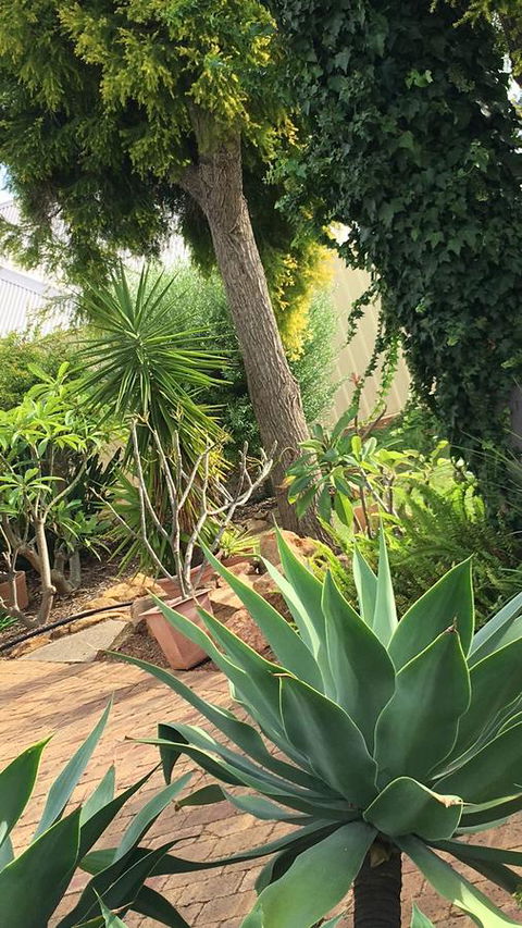 Armadale Cottage Bed & Breakfast - Sydney Tourism 1