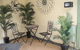 Armadale Cottage Bed & Breakfast - thumb 37