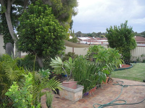 Armadale Cottage Bed & Breakfast - Sydney Tourism 39