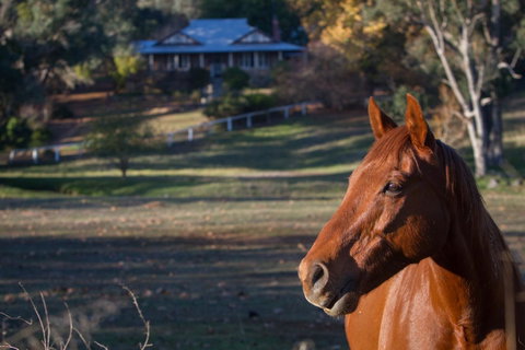 Historic Oakhill House Entire Estate - Sydney Tourism 9