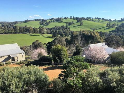 Balingup Highview Chalets - Sydney Tourism 5