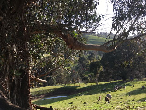 Balingup Highview Chalets - Sydney Tourism 13