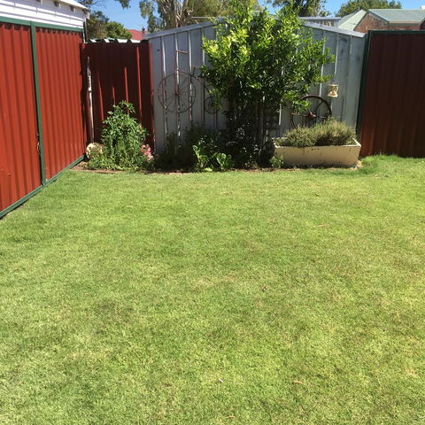 Bluebird Cottage - Sydney Tourism 29