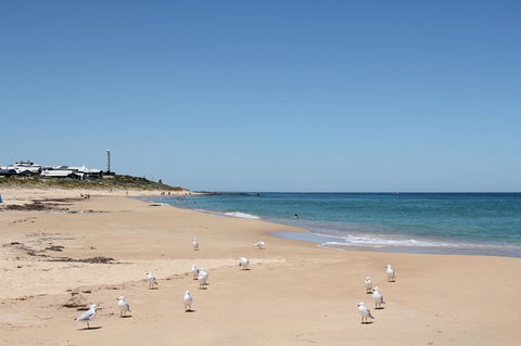 Bluebird Cottage - Sydney Tourism 40