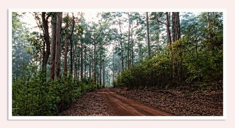 Oak Tree Barn Bridgetown - Sydney Tourism 14