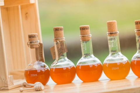 Sienna Lodge - Sydney Tourism 27