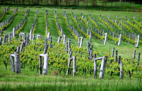 Sienna Lodge - Sydney Tourism 13