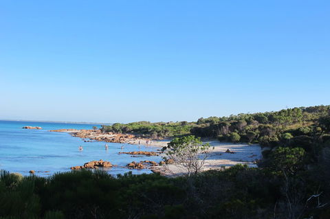 17 By The Sea - Sydney Tourism 15