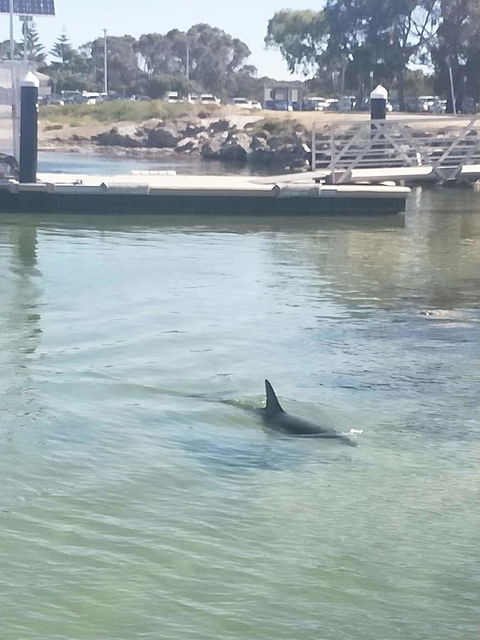 Sea-Esta - Sydney Tourism 26