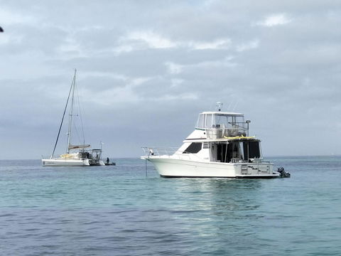Sea-Esta - Sydney Tourism 28