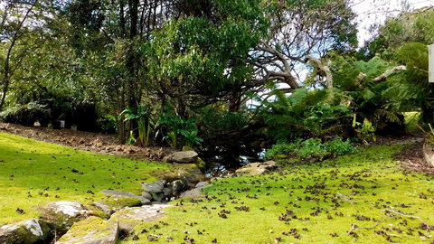 43 Degrees Bruny Island - Sydney Tourism 8