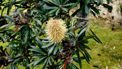 43 Degrees Bruny Island - Sydney Tourism 11