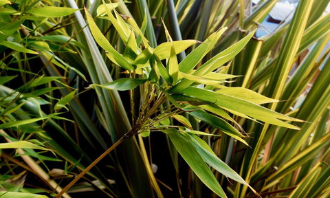 43 Degrees Bruny Island - Sydney Tourism 10