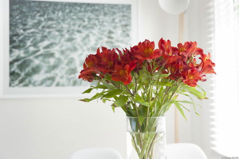On The Beach Waterfront Apartment - Sydney Tourism 0