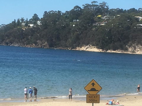 The Ultimate Beach House - Sydney Tourism 2
