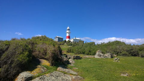 BIG4 Low Head Tourist Park - Sydney Tourism 6