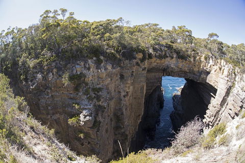Eaglehawk Pavilions - Sydney Tourism 34
