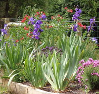 Karoola Cottage Self Contained - Sydney Tourism