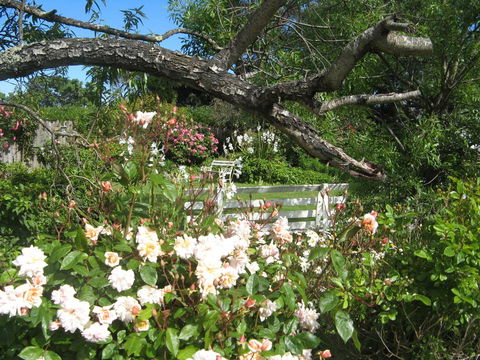 The Grove Cottages - Sydney Tourism 11