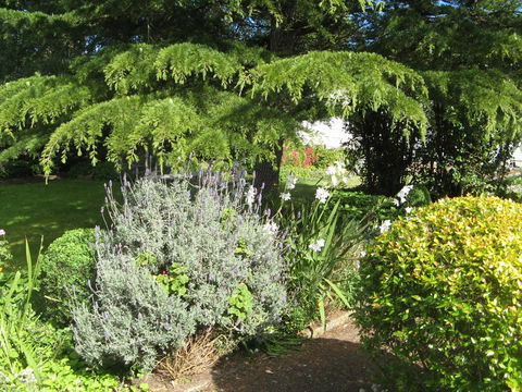 The Grove Cottages - Sydney Tourism 12