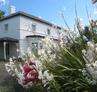 The Grove Cottages - Sydney Tourism