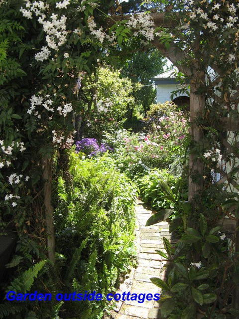 The Grove Cottages - Sydney Tourism 3