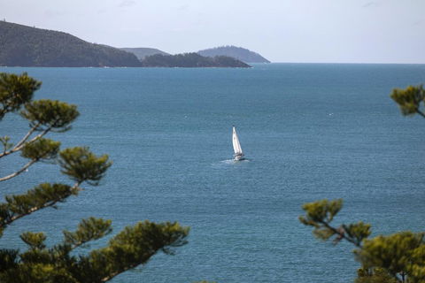 NEW Northcape 1 Ocean Front 2 Bedroom Choose Between 2 Properties - Sydney Tourism 2