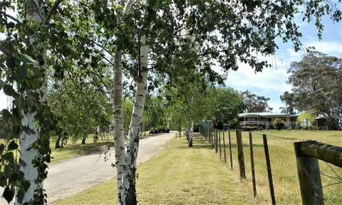 Nicholson BnB And Arts Centre - Sydney Tourism 0