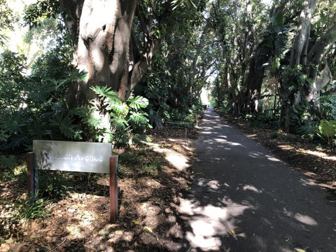 One Bedroom Cottage Close To Adelaide CBD - Sydney Tourism 3
