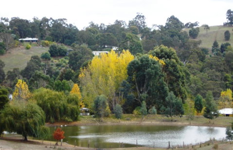Pamelas Retreat - Sydney Tourism 3