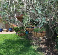 Paradise Apartment - Sydney Tourism