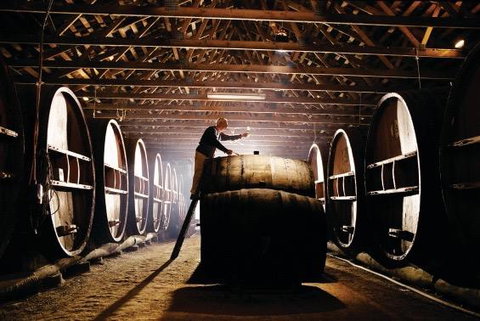 Pieter Van Gent Winery & Vineyard - Sydney Tourism 0
