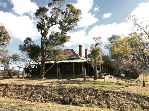 Pieter Van Gent Winery & Vineyard - Sydney Tourism 3