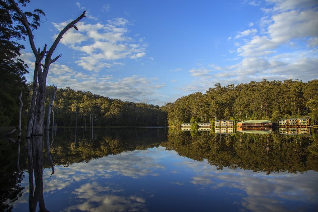 Beedelup WA Sydney Tourism