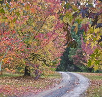 Rustic Spirit - Sydney Tourism