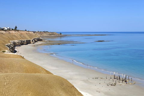 Saltaire Cottages - Sydney Tourism 1