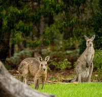 Secura Lifestyle Countryside Kalaru - Sydney Tourism
